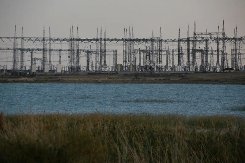 Фото: Руслан Пряников