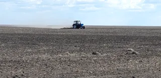 Капитал - Почти 3 млн гектаров на севере Казахстана засеют пшеницей