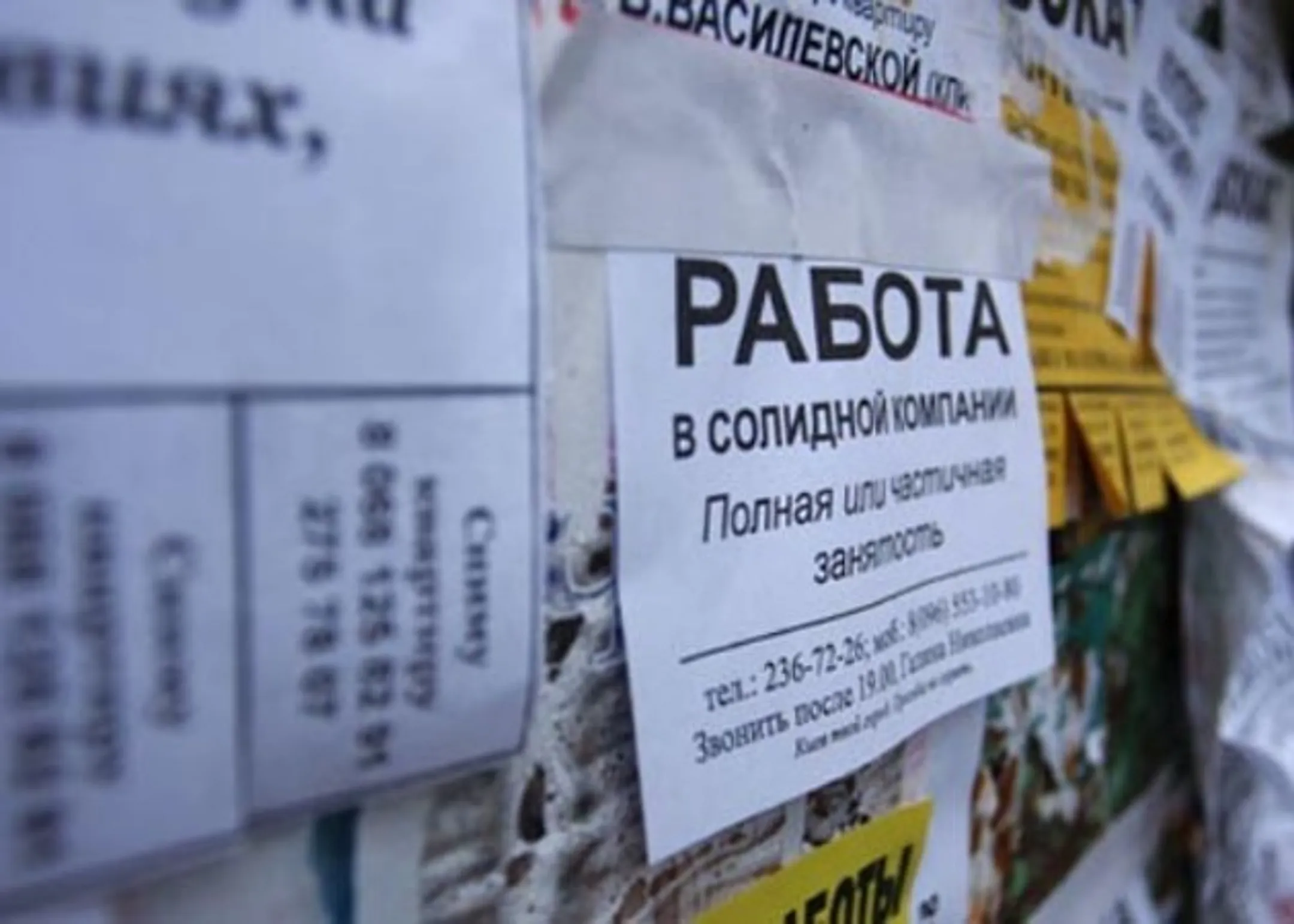 Падение тенге пока не сказалось на рынке труда - Image Kapital.kz