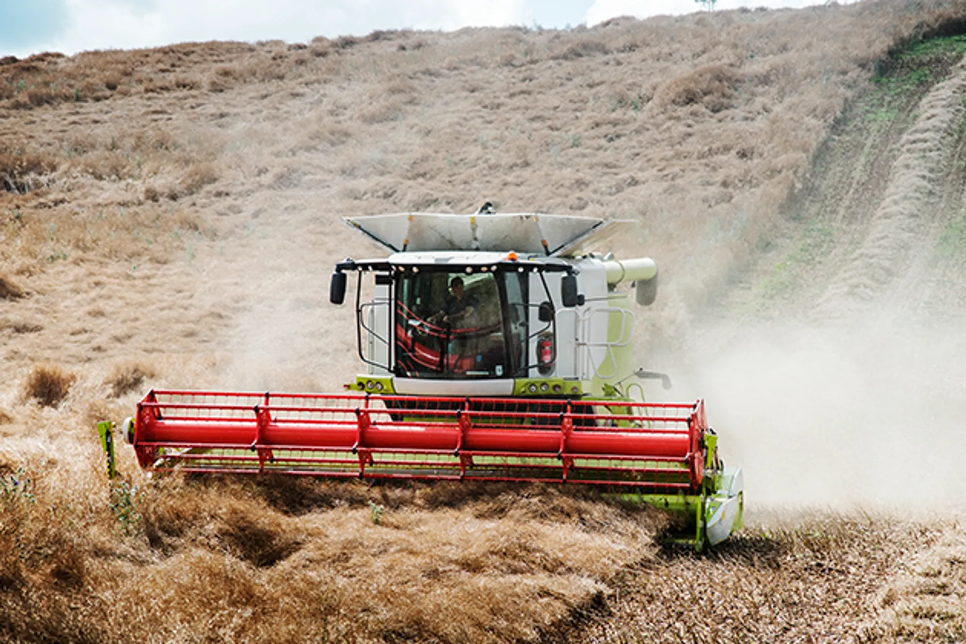 Капитал - Сельское хозяйство – основа сильной экономики