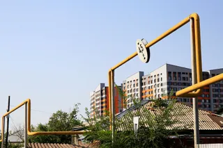 Фото: Руслан Пряников