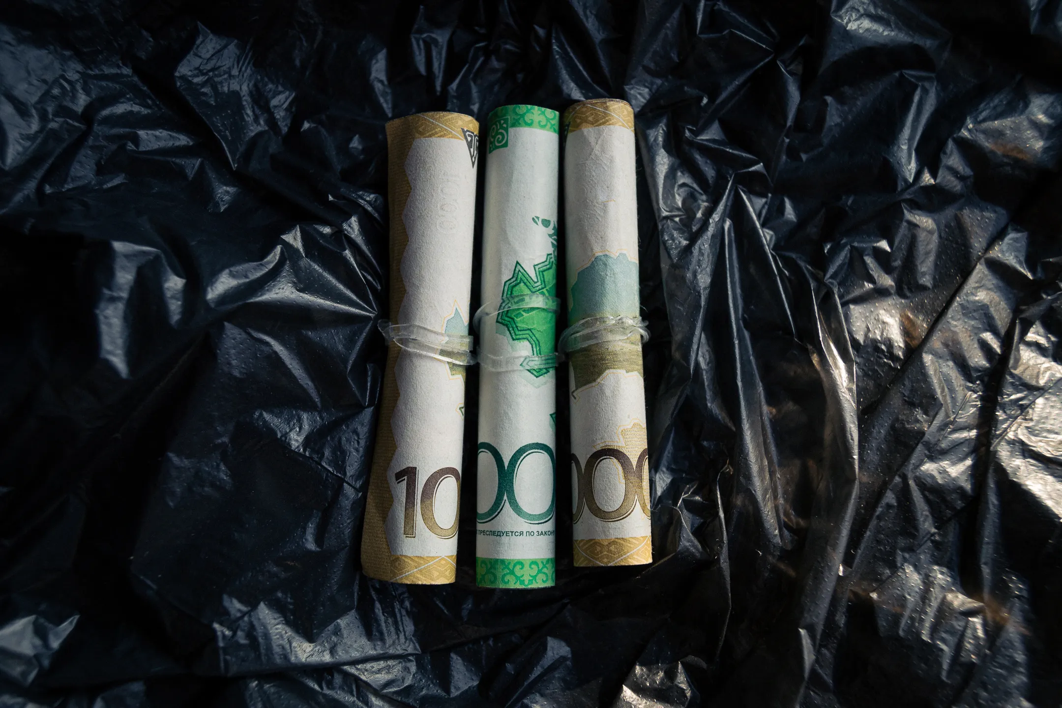 Фото: Валерия Змейкова