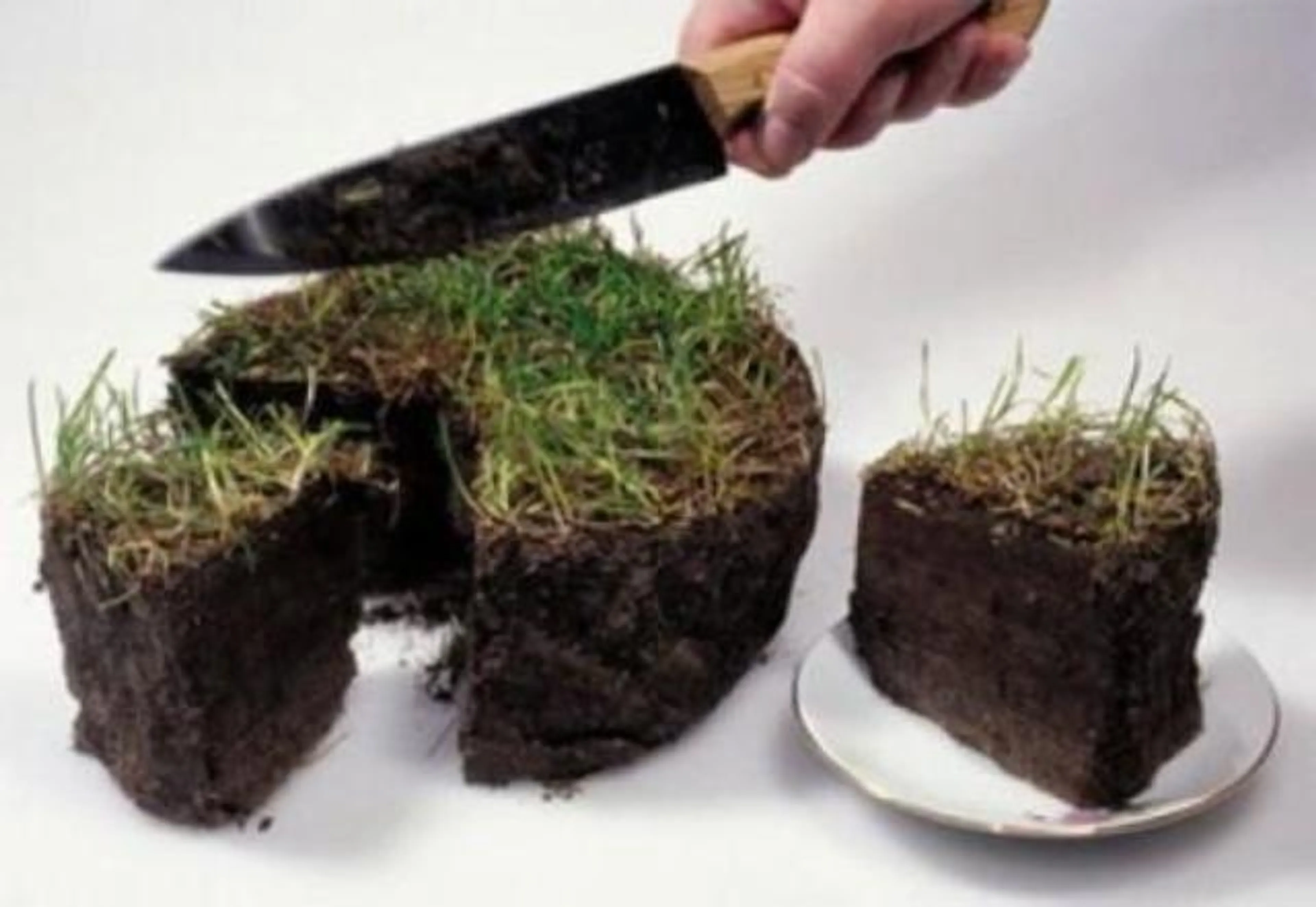 Капитал - Выделять казахстанцам 10 соток при соблюдении ряда условий