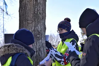 Фото: Fading.TSE