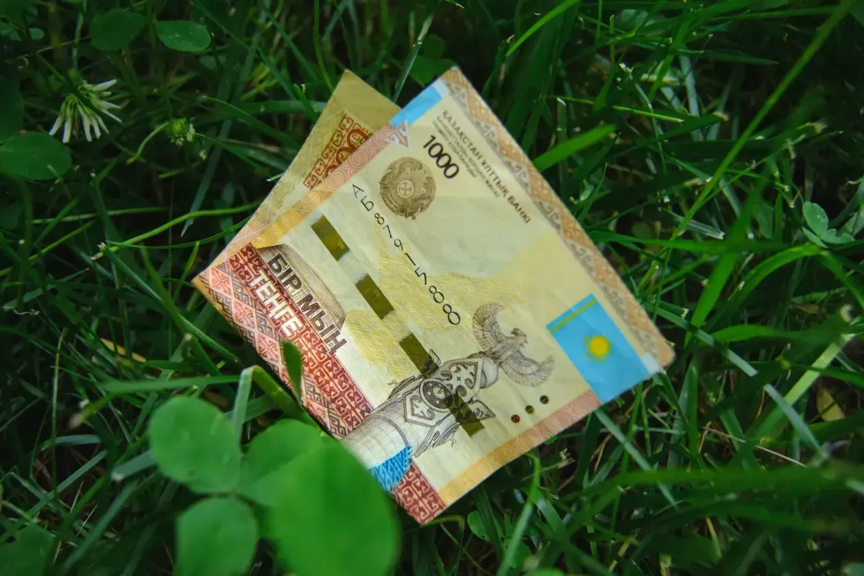 Нормативы субсидирования иностранных семян снизят в Казахстане 