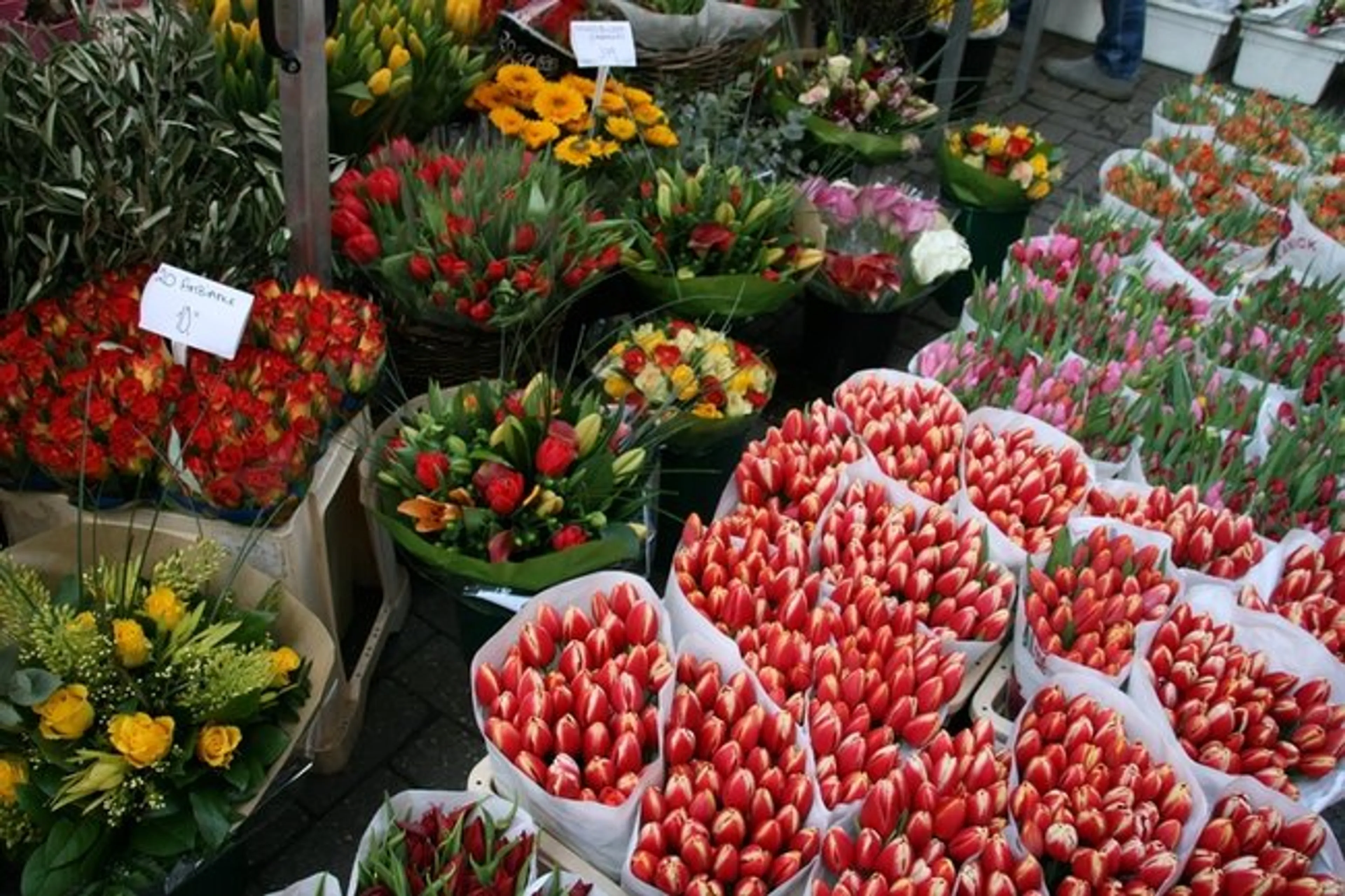 Капитал - Казахстан импортировал цветов почти на $30 млн.