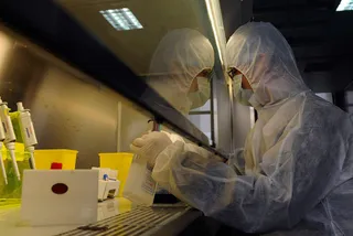 Капитал - В Канаде зафиксирована смерть от птичьего гриппа