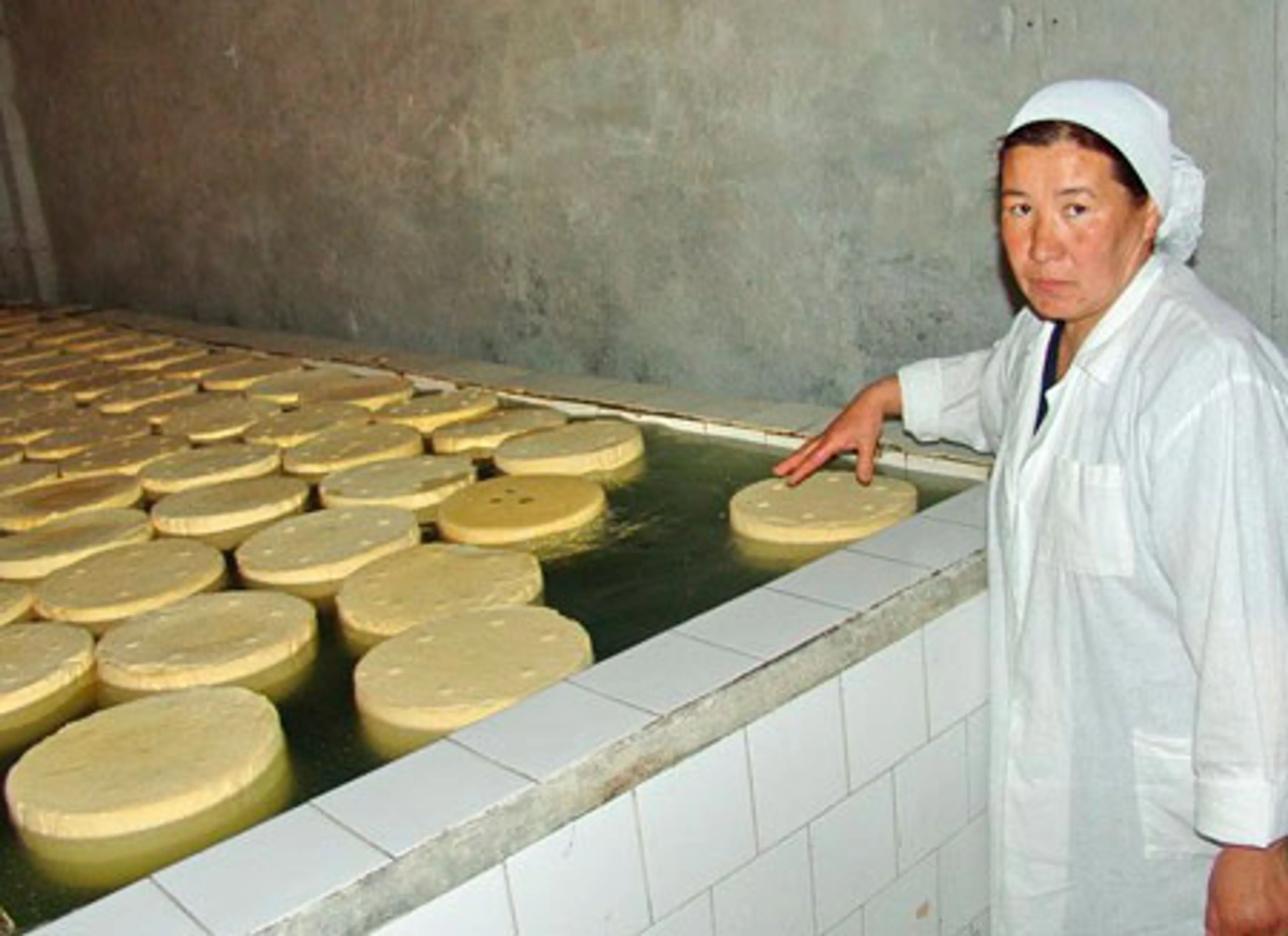 Капитал - В Кыргызстане меняют знаки госстандарта