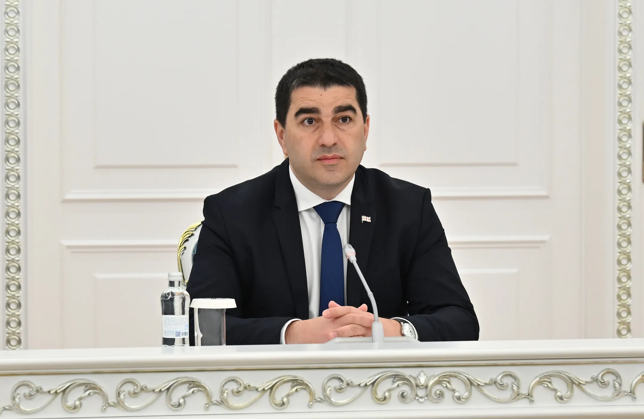 Президент принял председателя Парламента Грузии - Image Kapital.kz