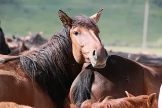 Фото: Руслан Пряников