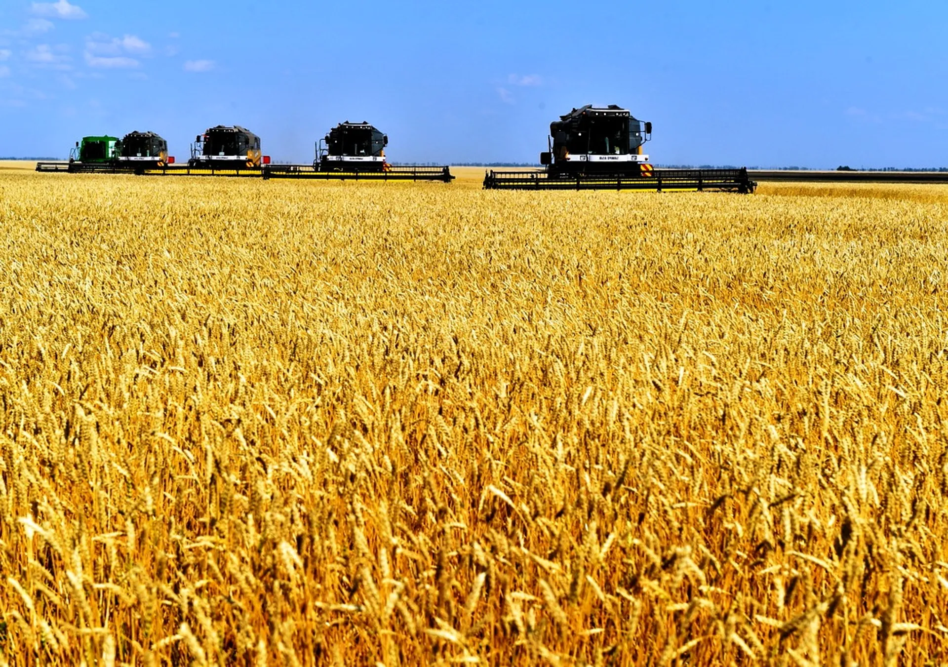 Капитал - Арман Евниев: Проблемы с хранением нового урожая не будет