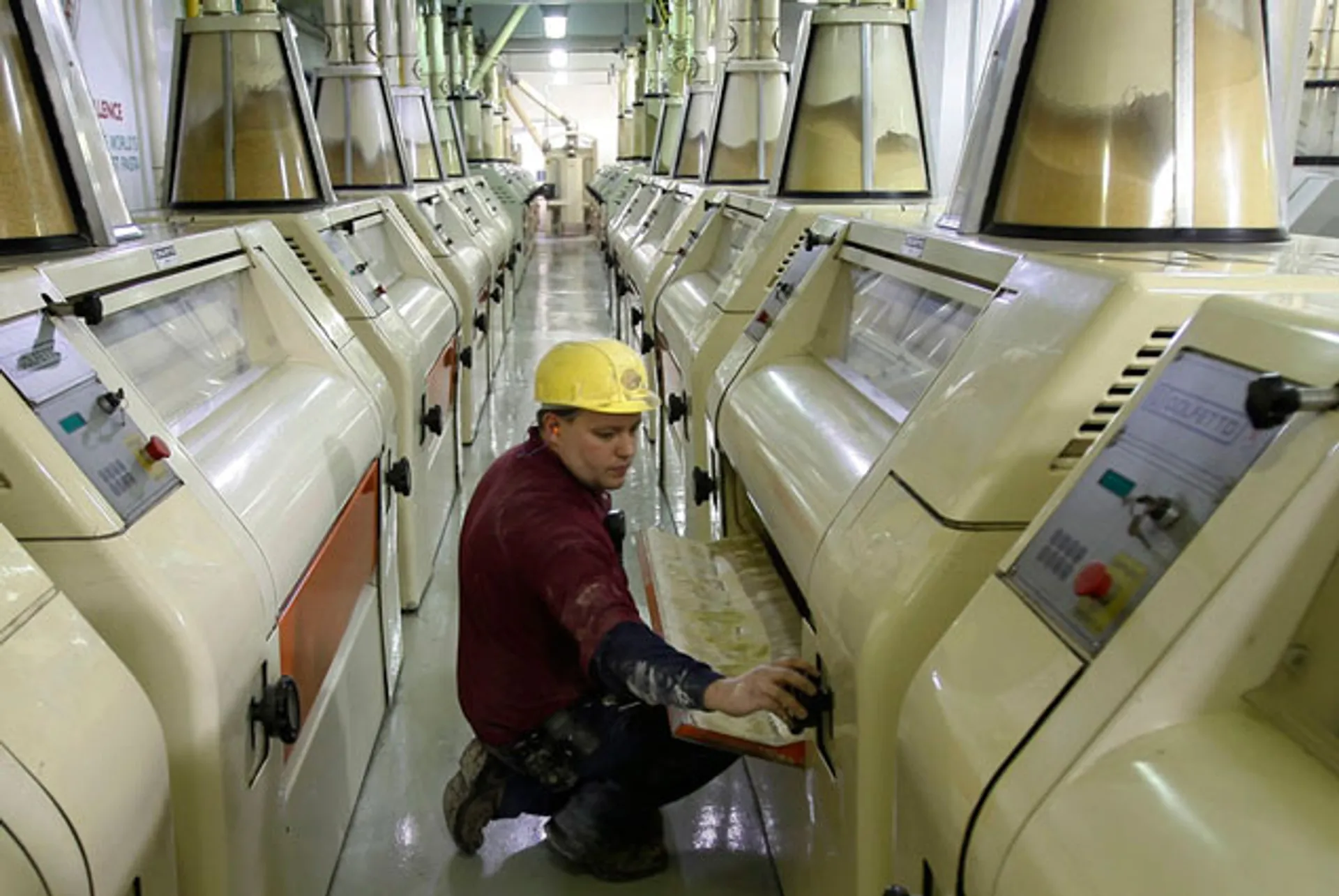 Капитал - Банкротство мельниц прогнозируют в Минсельхозе