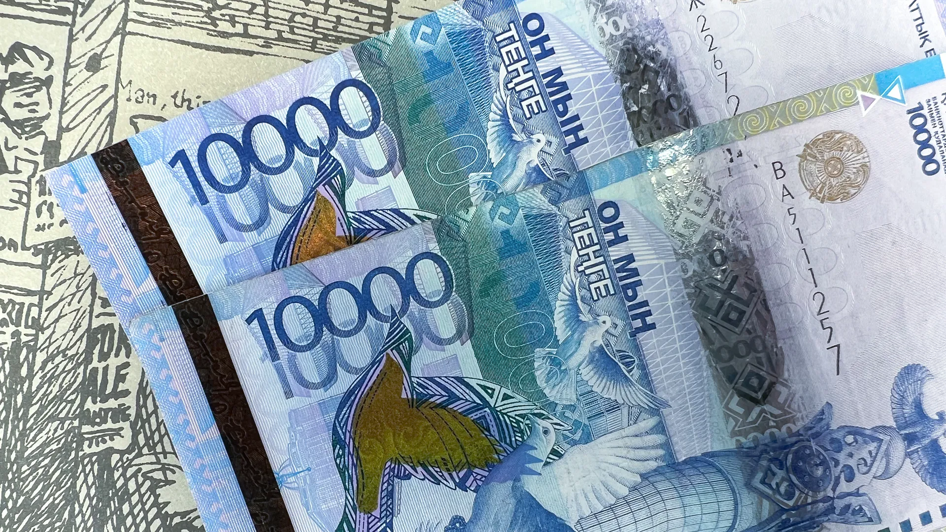 Фото: Валерия Змейкова