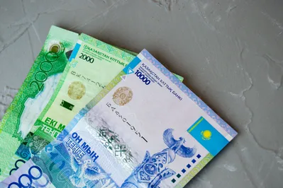 Фото: Валерия Змейкова 