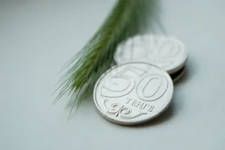 Капитал - Кредитование сельского хозяйства сократилось сразу на 62%