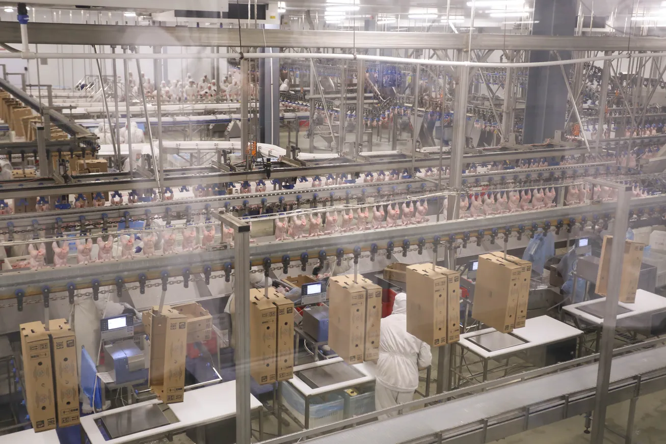 На Макинской птицефабрике расширили производство - фото kapital.kz