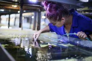 Фото: Руслан Пряников 