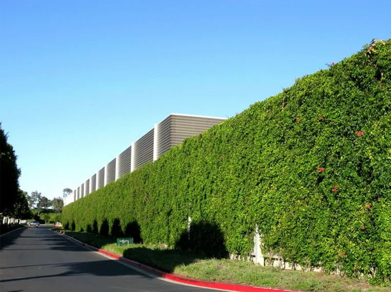 Капитал - Заборы в Алматы будут озеленять, а не красить