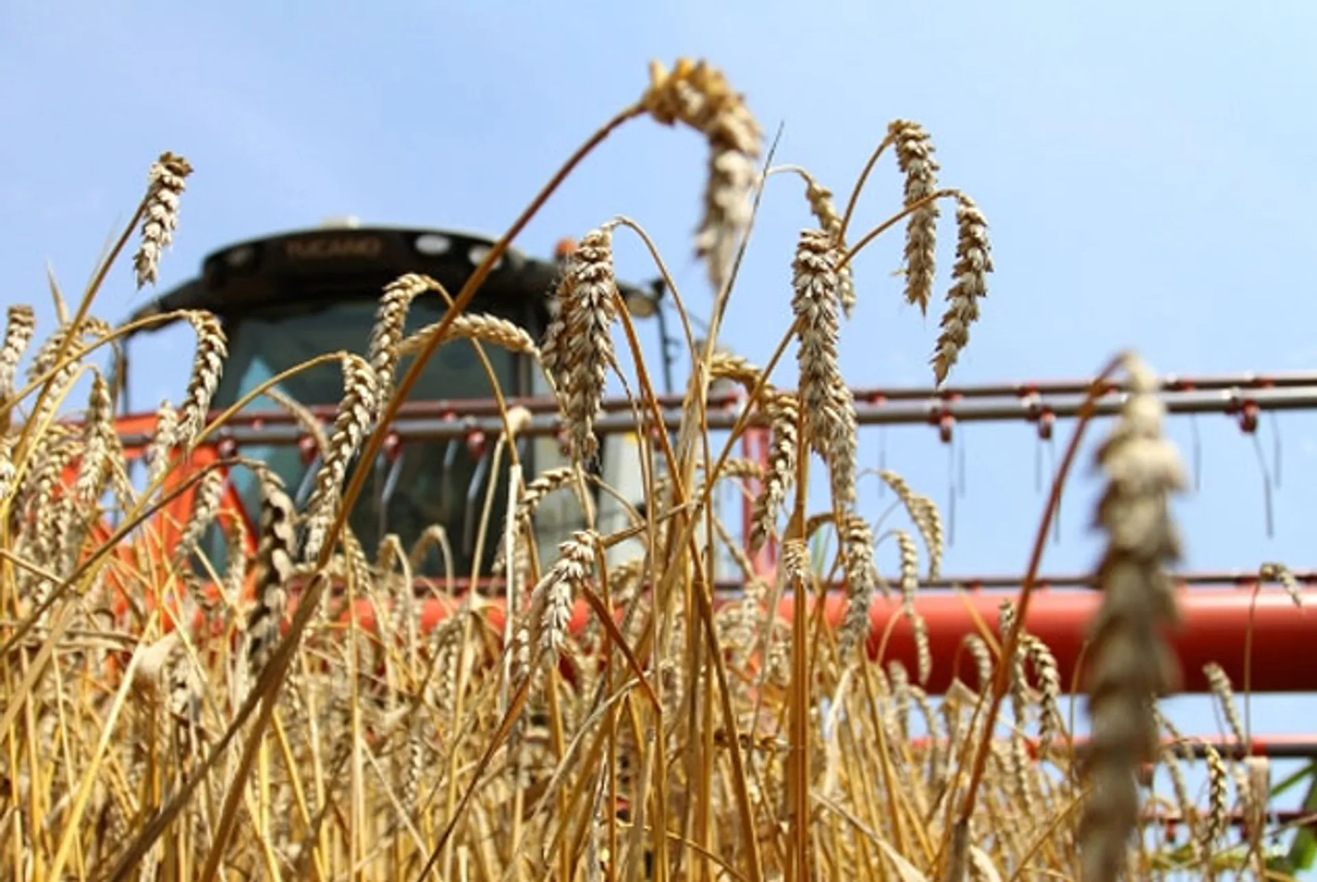 Капитал - КазАгро поддержал посевные и уборочные работы на 92,8 млрд тенге