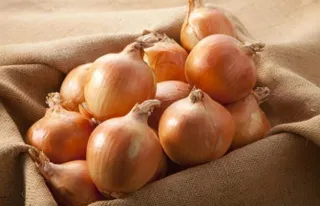 Все для фермеров