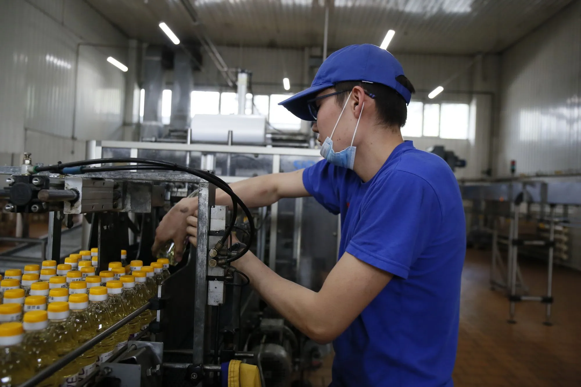 В Казахстане ожидают рекордный урожай семян подсолнечника 