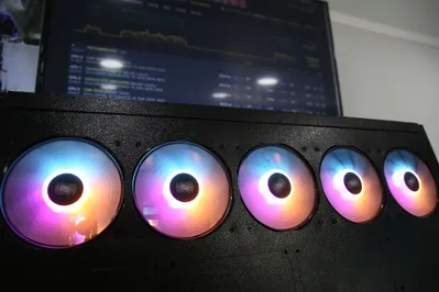 Фото: Руслан Пряников