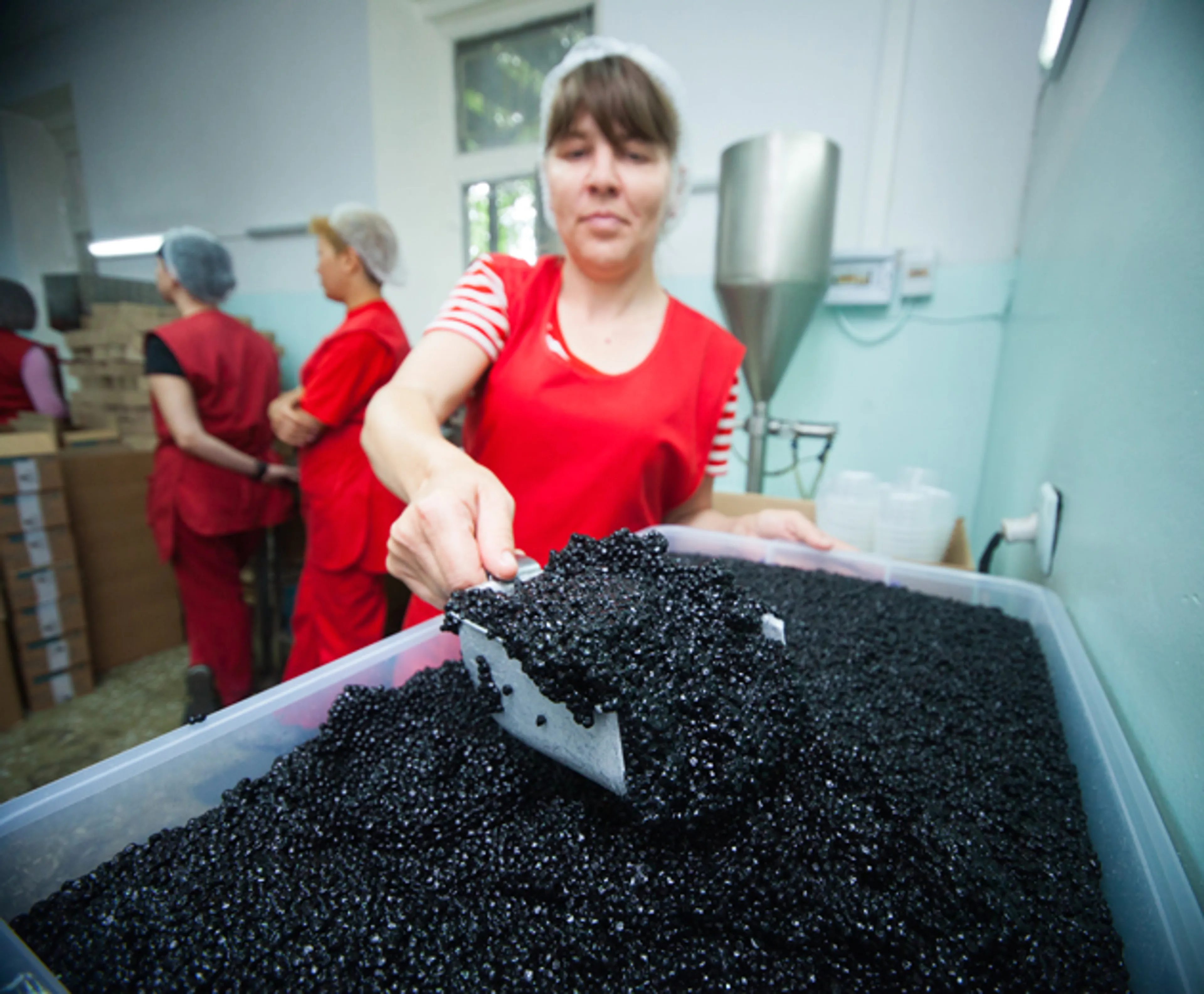 Капитал - Казахстанскую икру будут поставлять на рынок ОАЭ