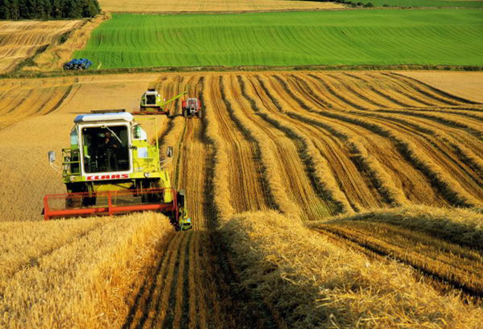 Капитал - Выдача мелких займов в селах выросла в 4 раза