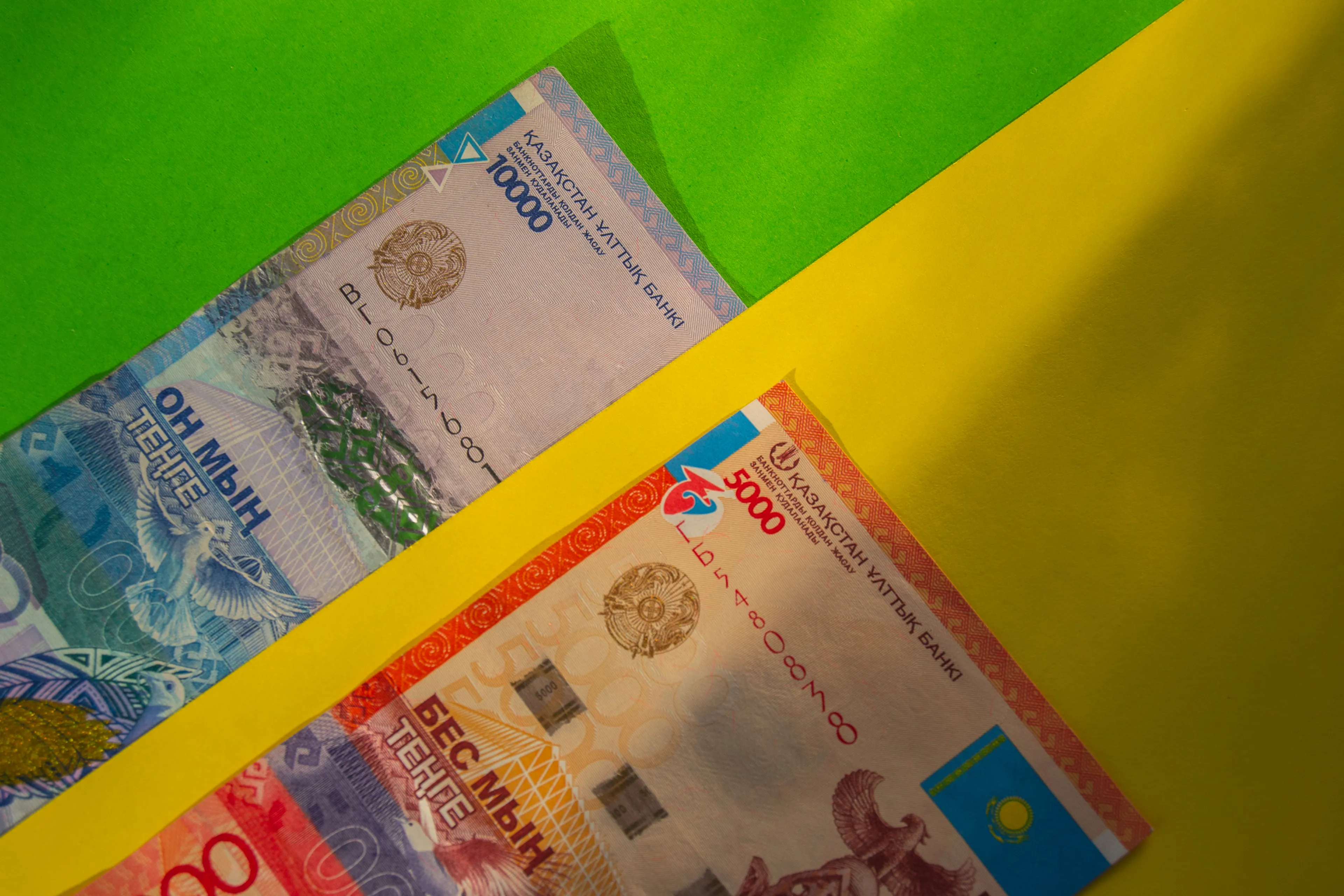 Фото: Валерия Змейкова 