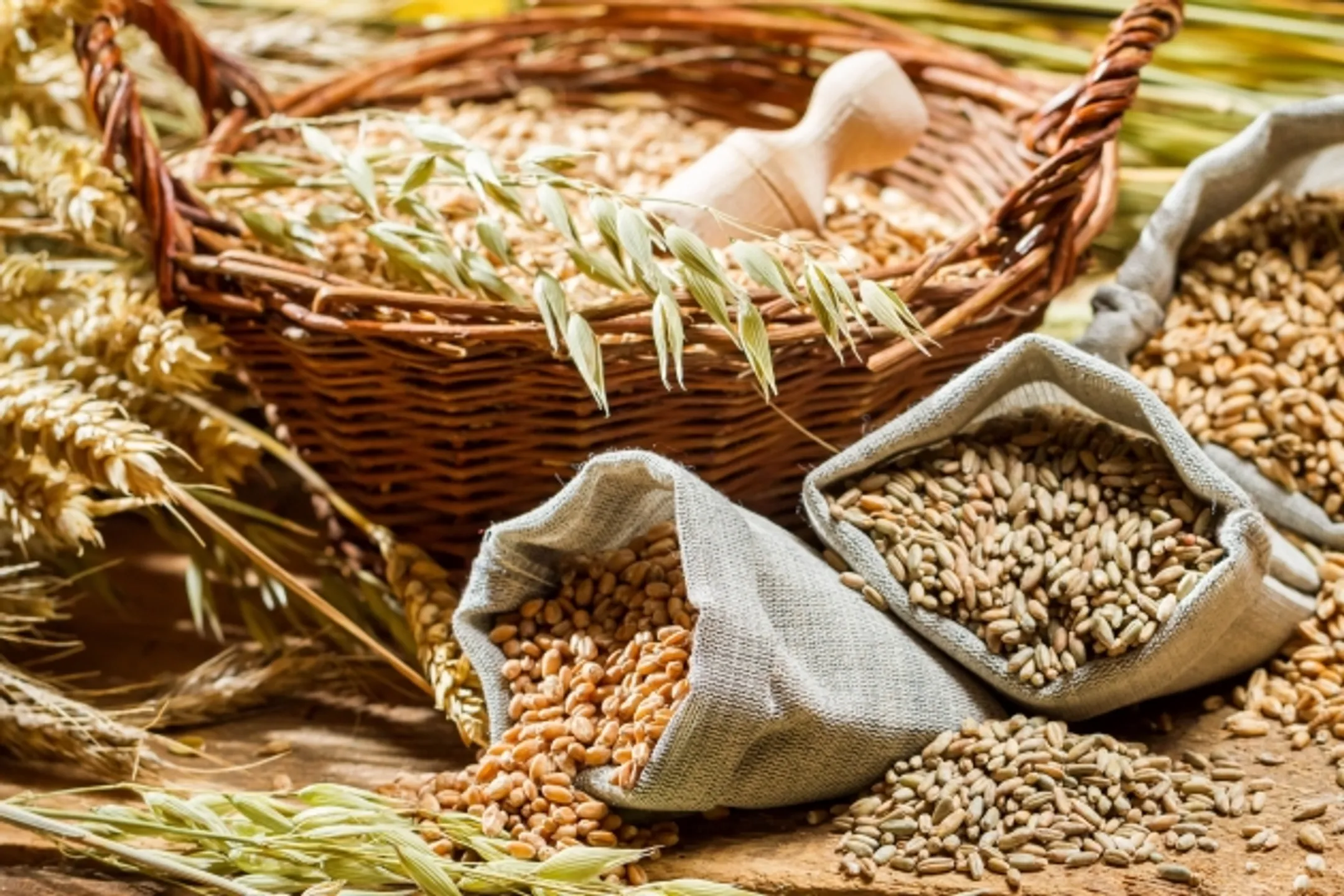 Недельный оборот по торговле зерном достиг 82 млн тенге - Image Kapital.kz