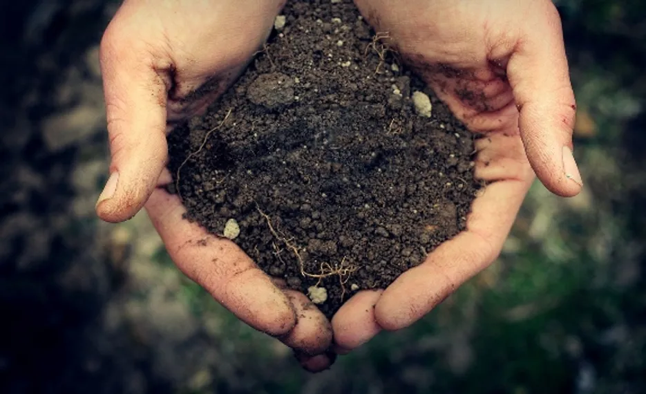 Капитал - В Караганде подорожала земля под строительство жилья