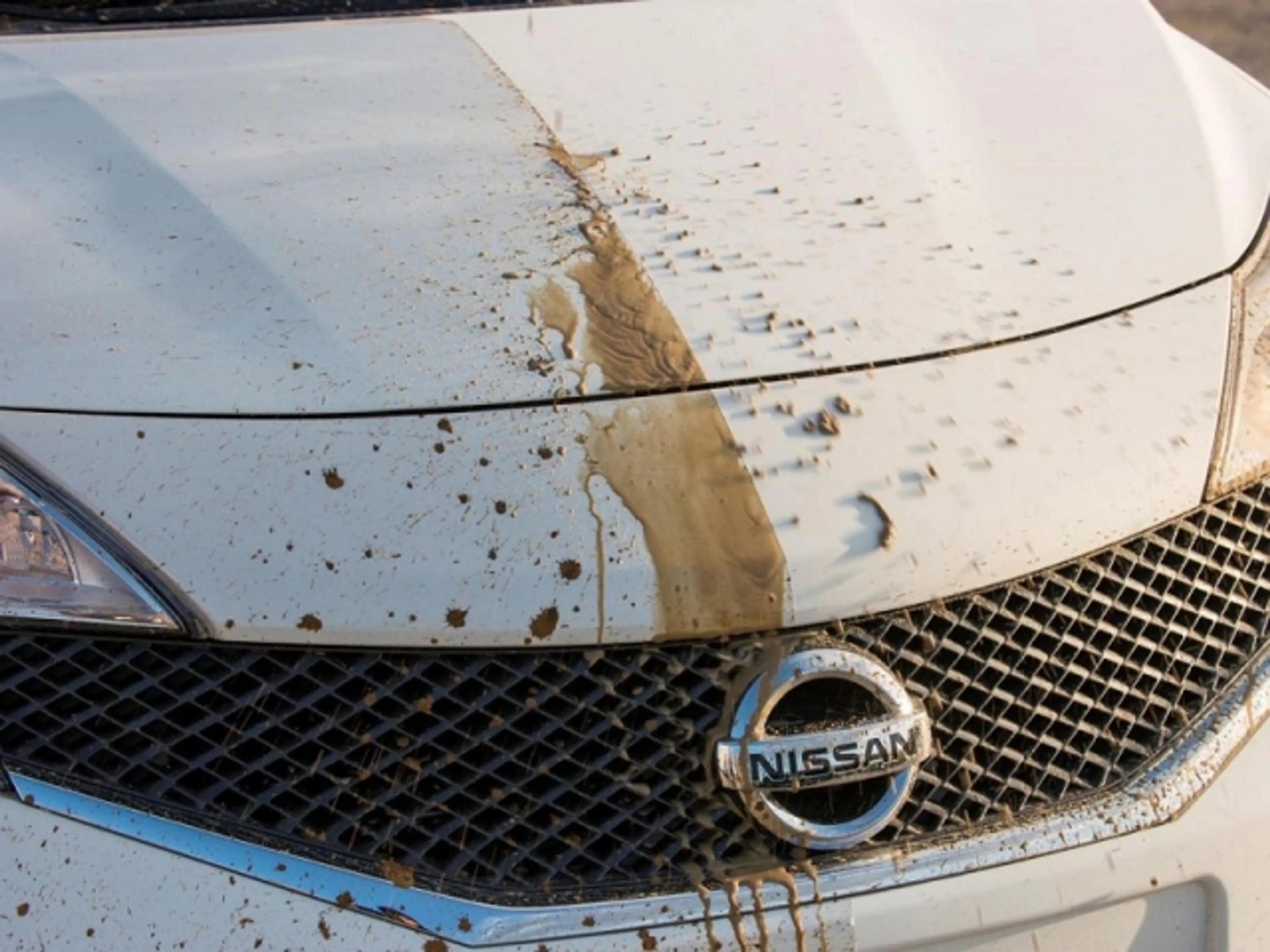 Капитал - Самоочищающийся Nissan Note