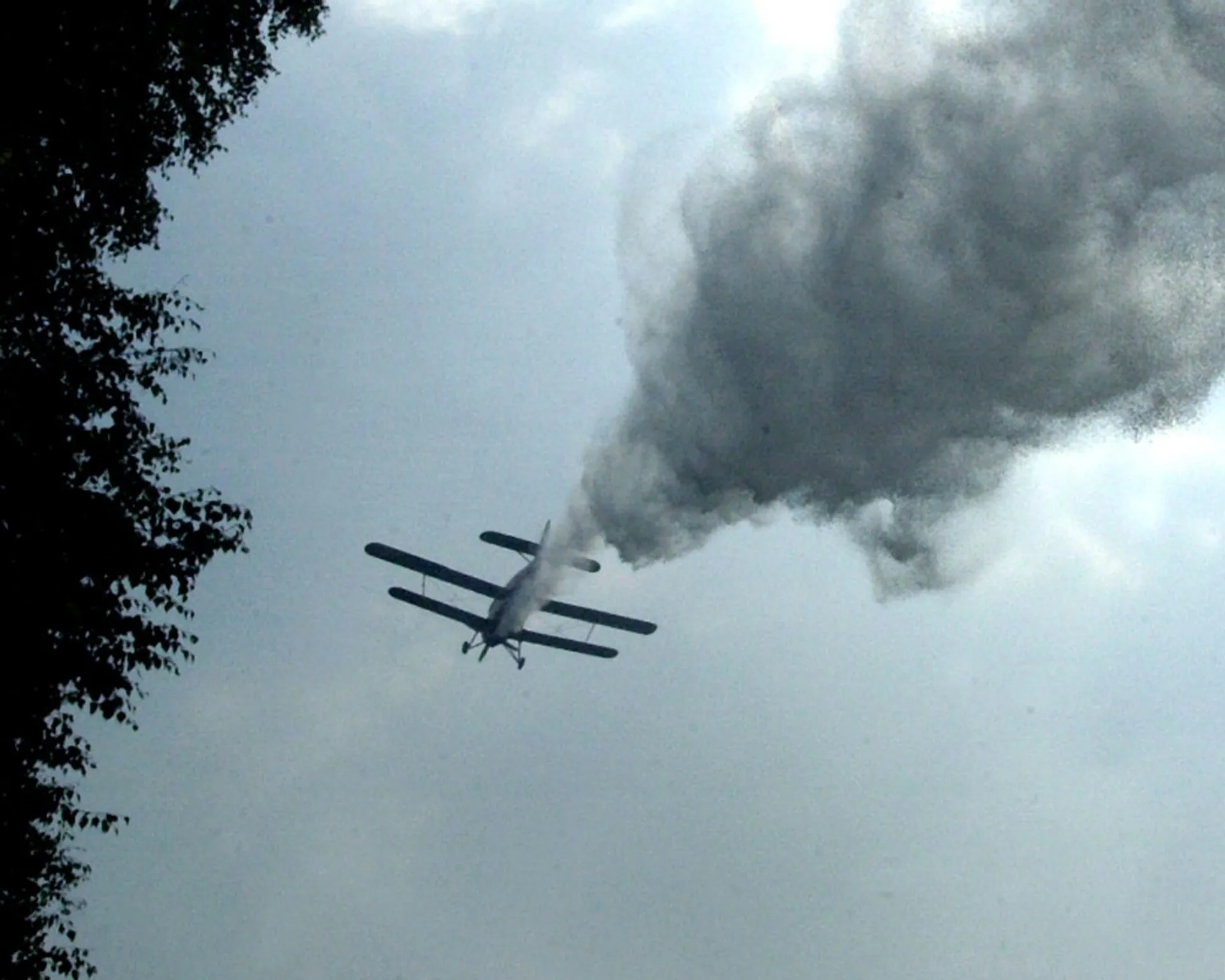 Капитал - В Кызылординской области разбился АН-2