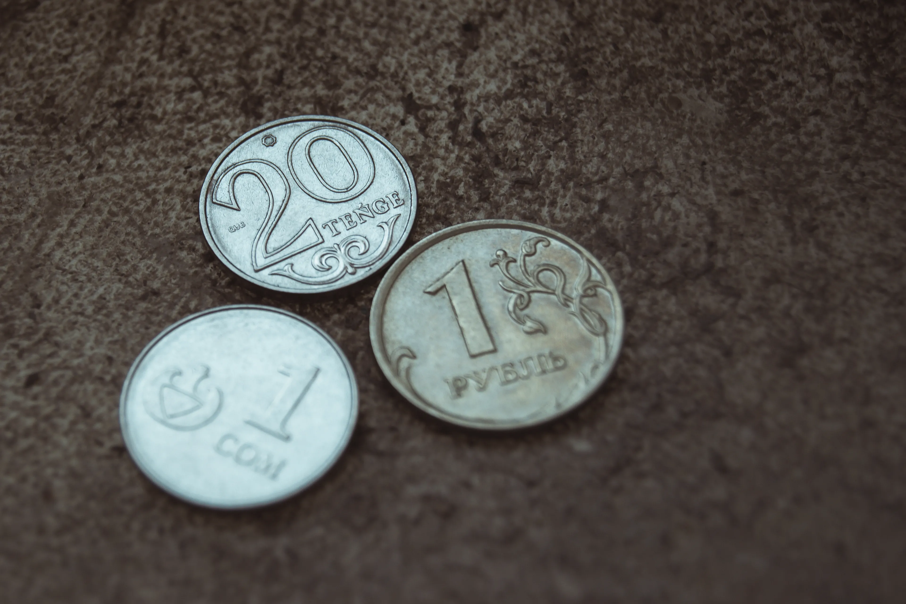 Фото: Валерия Змейкова