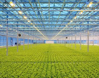 Капитал - Польские инвесторы строят промышленную теплицу в Казахстане