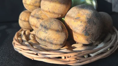 Фото: Валерия Змейкова