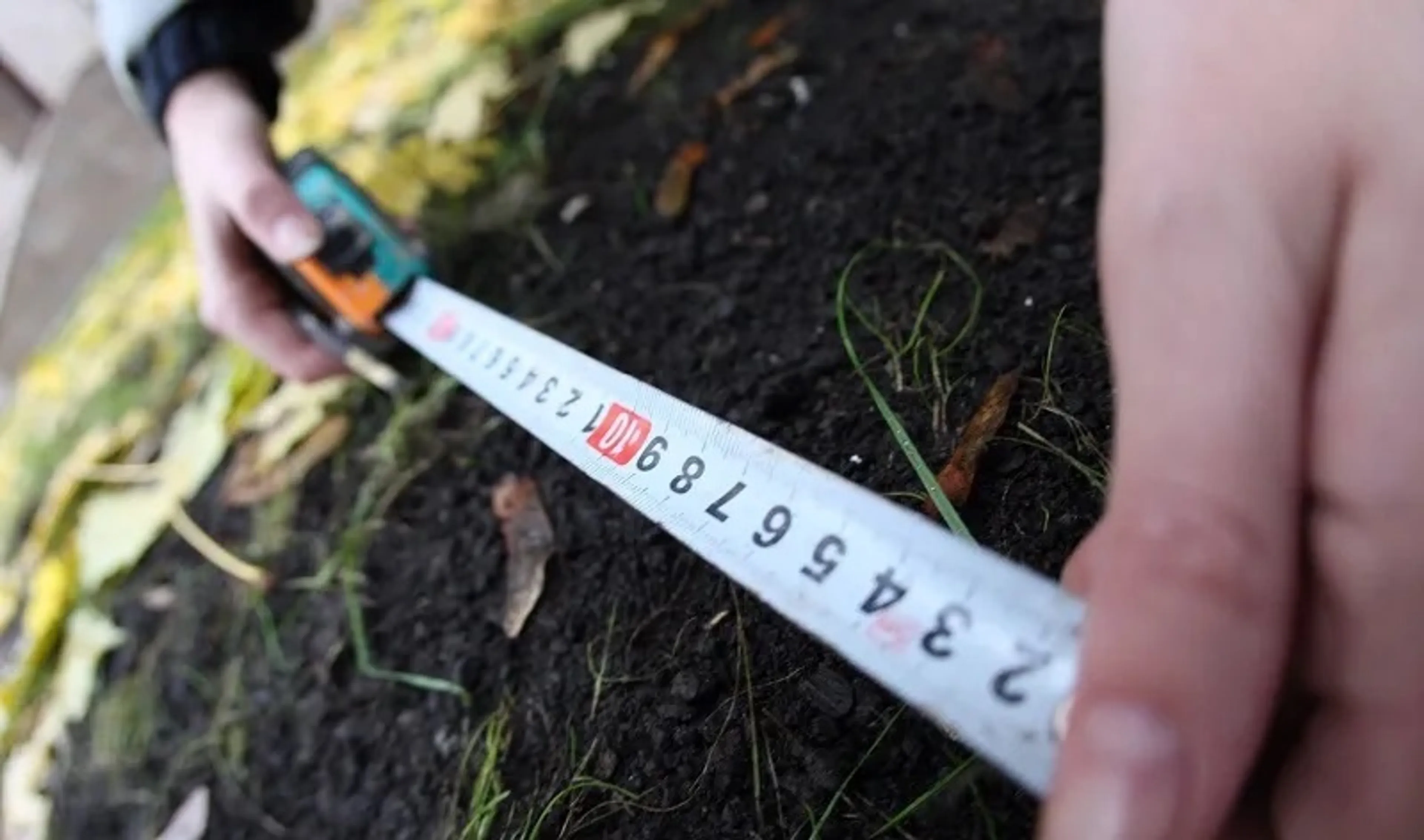 Капитал - С начала года в госсобственность вернули 891 тыс. га неиспользуемых земель