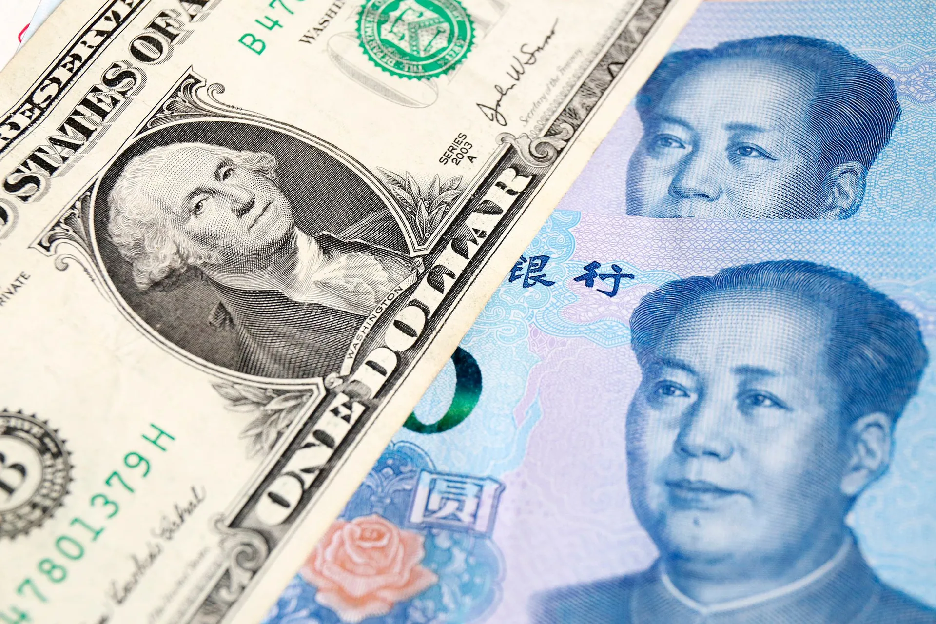 Фото: Руслан Пряников