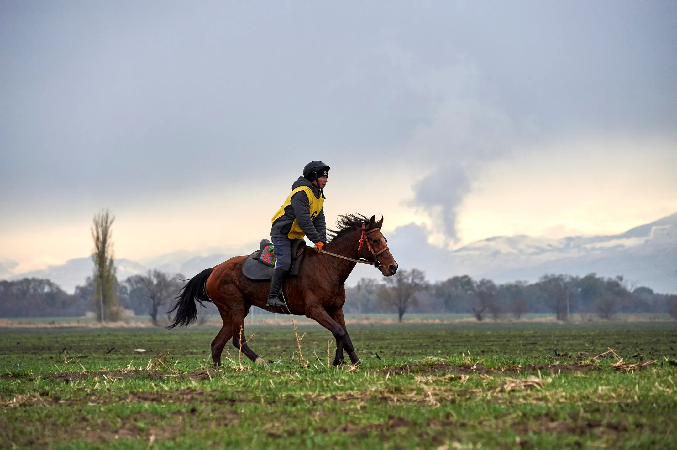 В Казахстане прошли Международные соревнования CEI1 - Image Kapital.kz