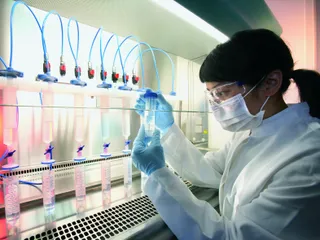 Капитал - На аграрную науку выделят больше средств