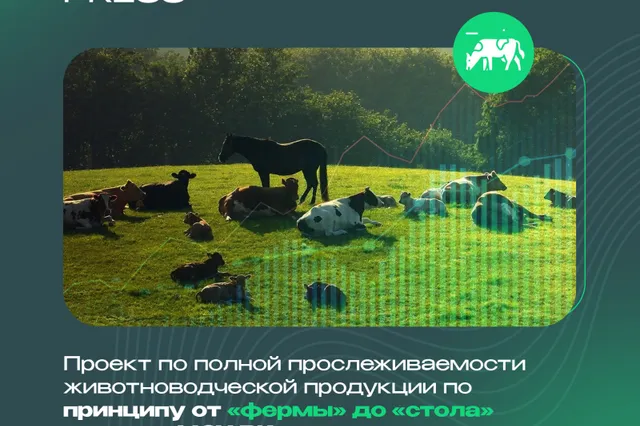 Изображение Kapital.kz