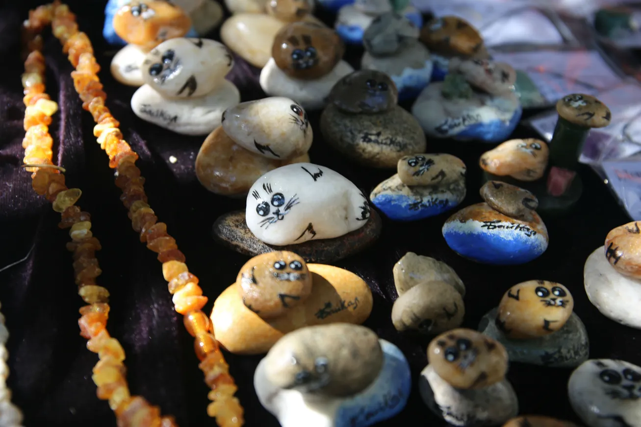 Бабр, нерпа и Байкал — зачем лететь в Иркутск летом? - фото kapital.kz