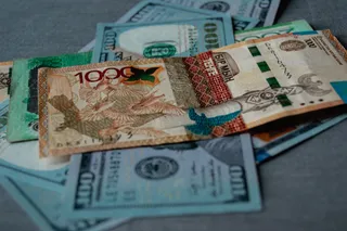 Фото: Валерия Змейкова