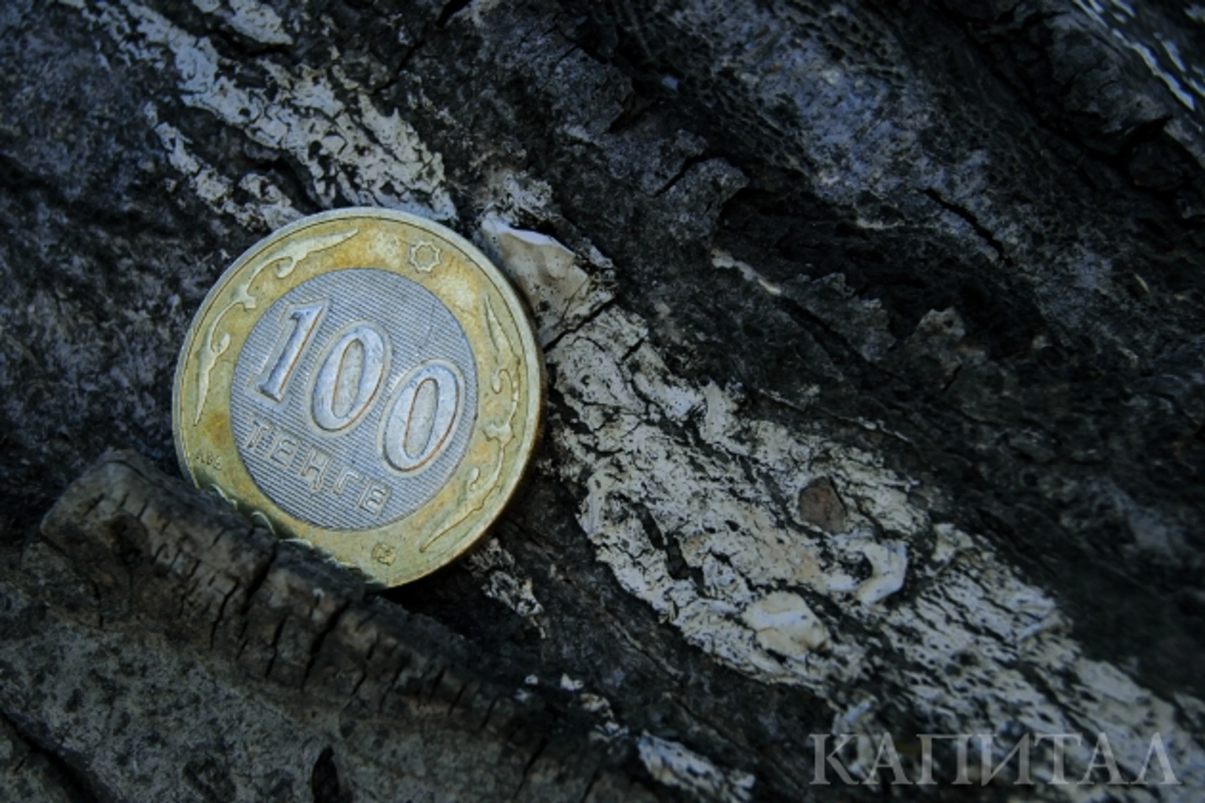 Капитал - Доллар снова прибавил в весе и окреп на 0,16%