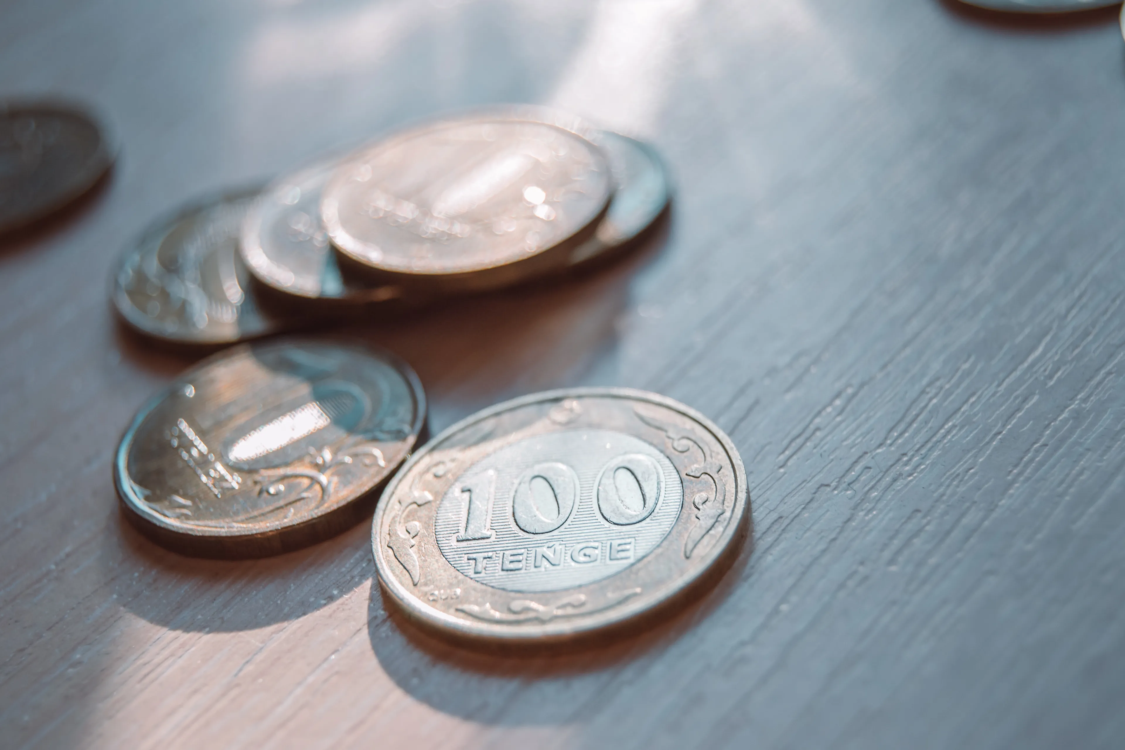 Фото: Валерия Змейкова