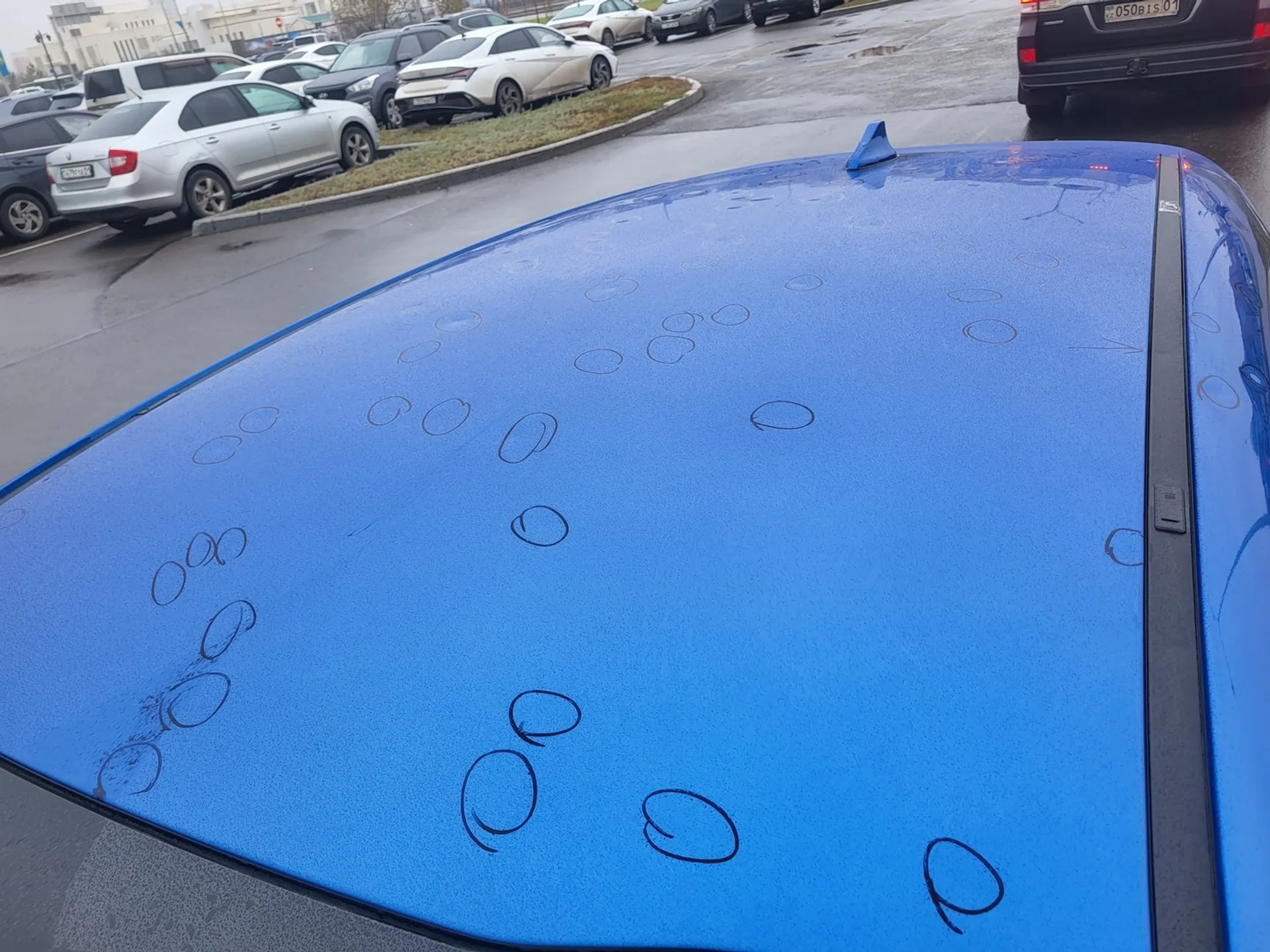 Фото: СК «Евразия»