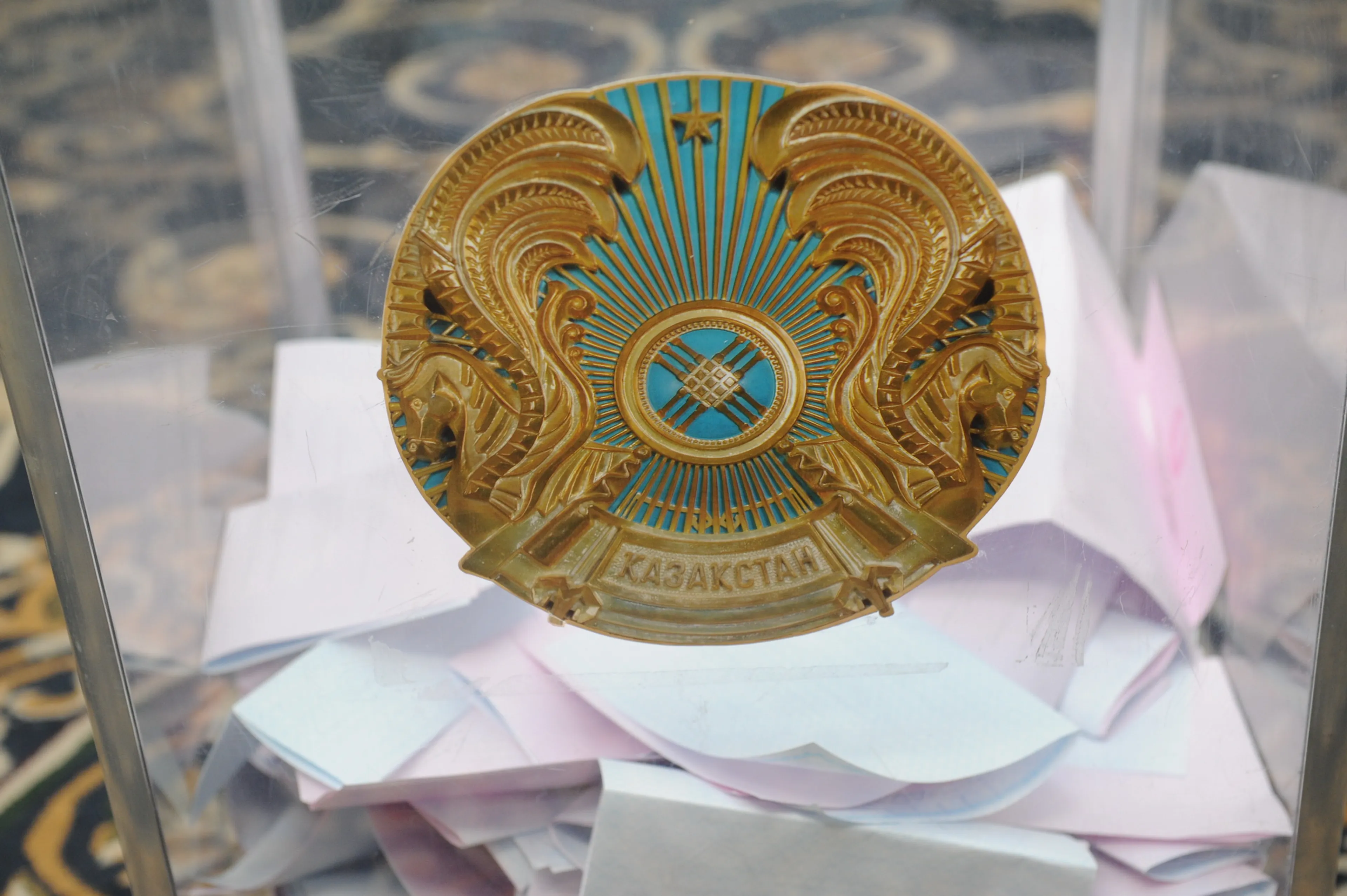 Фото: Владимир Третьяков