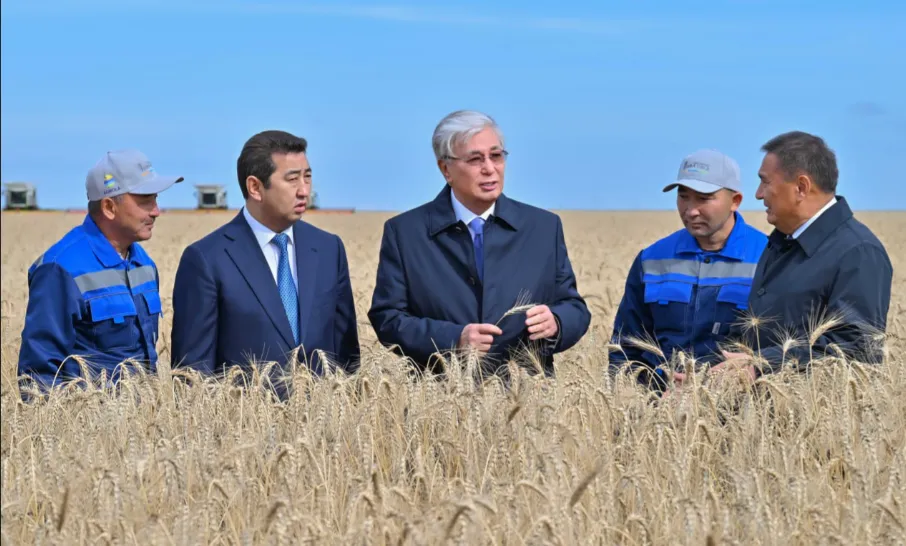 Урожай зерновых культур в Акмолинской области составит более 7 млн тонн 