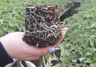 Капитал - Социальный бизнес на вермитехнологиях