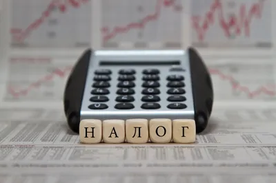 Как заинтересовать самозанятых платить налоги?